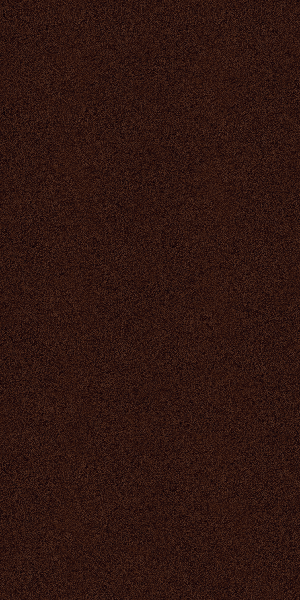 Brown Leather