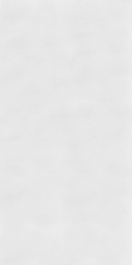 White Leather