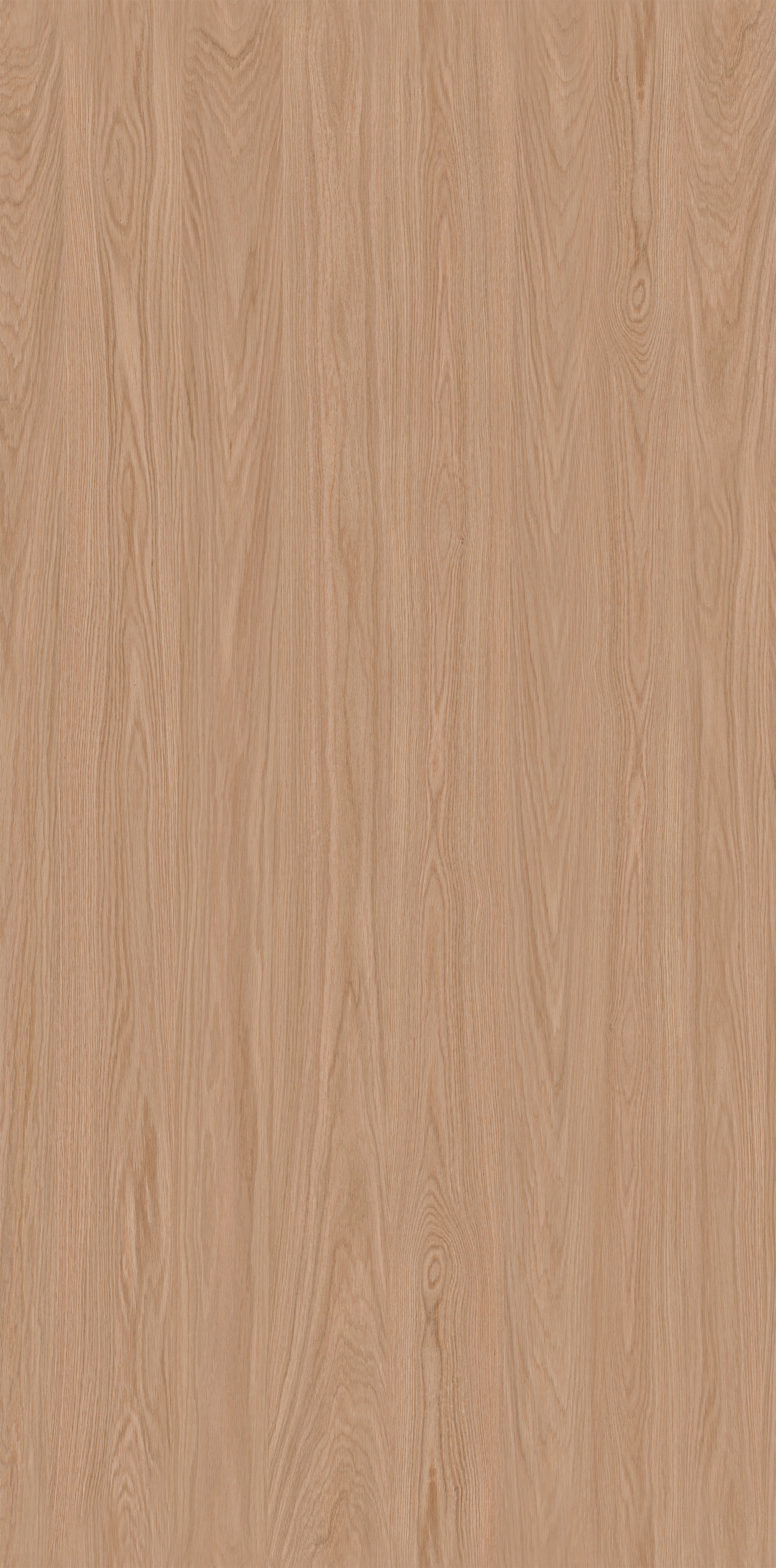 Wood Oak Flower 01