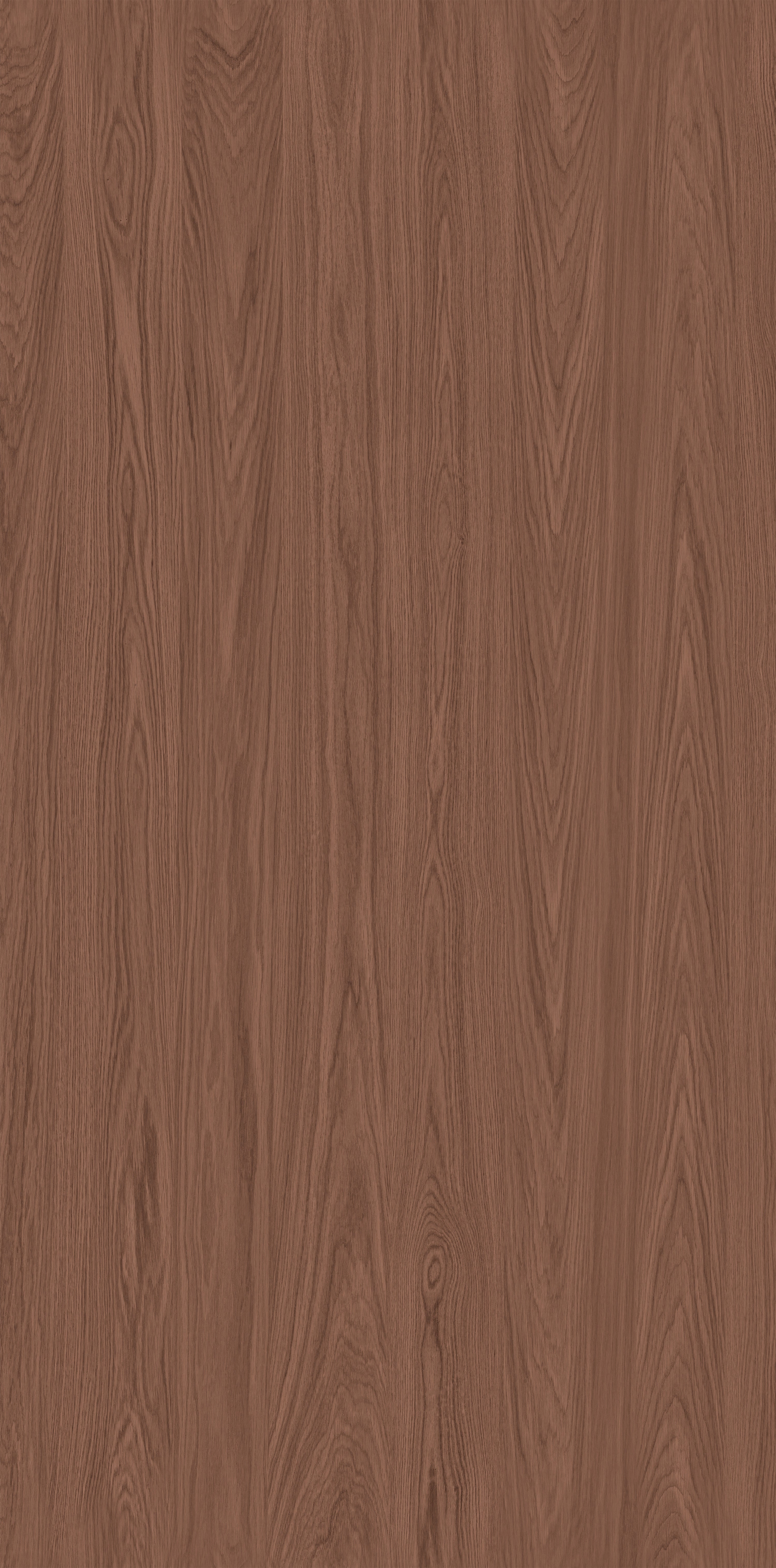 Wood Oak Flower 02