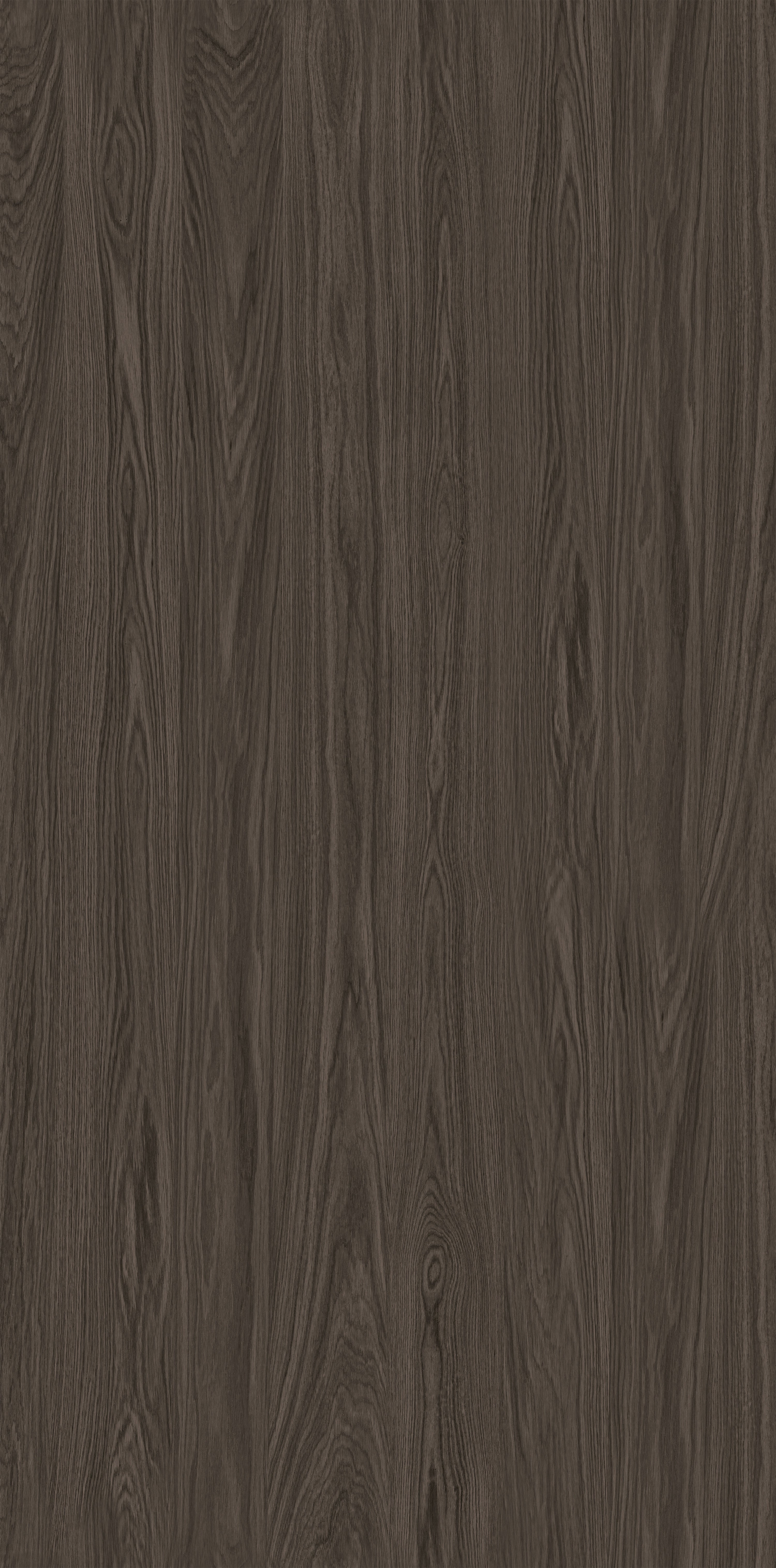 Wood Oak Flower 03