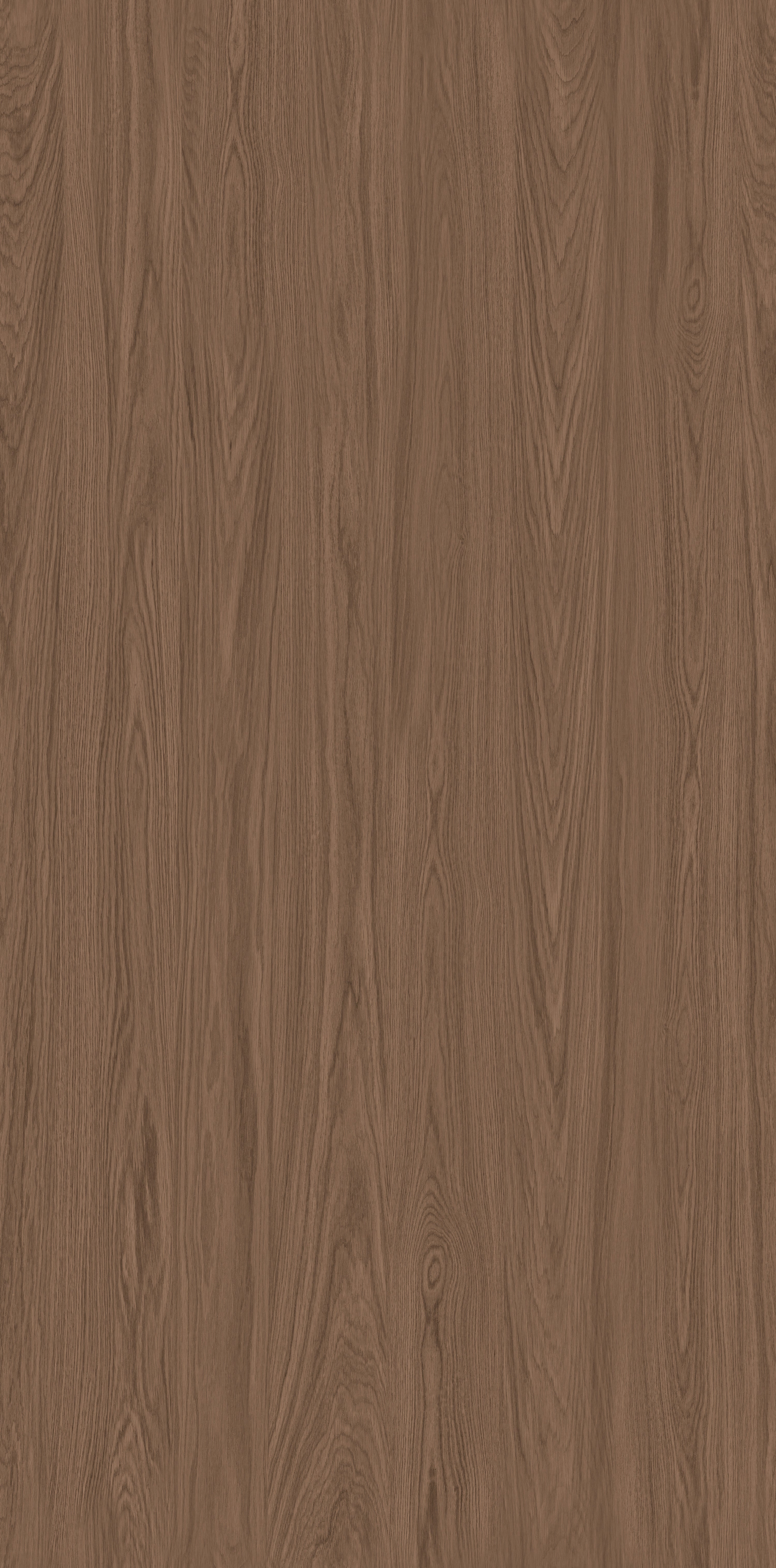 Wood Oak Flower 04